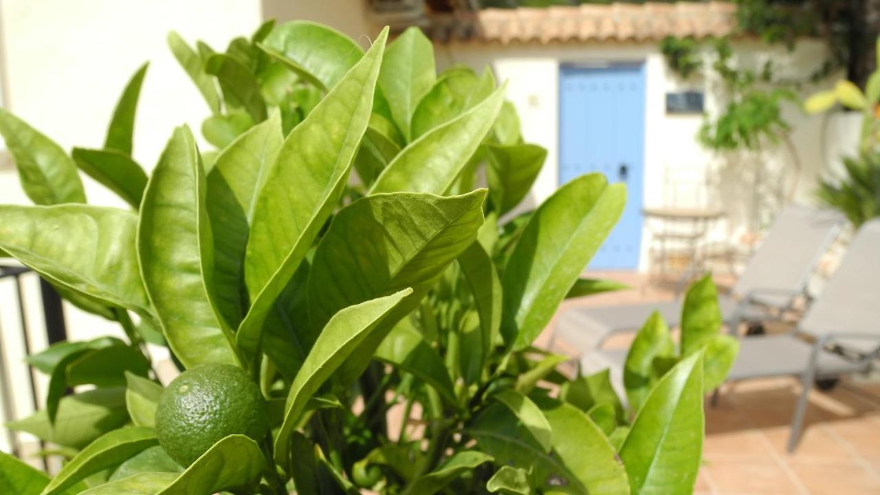 Casa Romero Lliber Εξωτερικό φωτογραφία