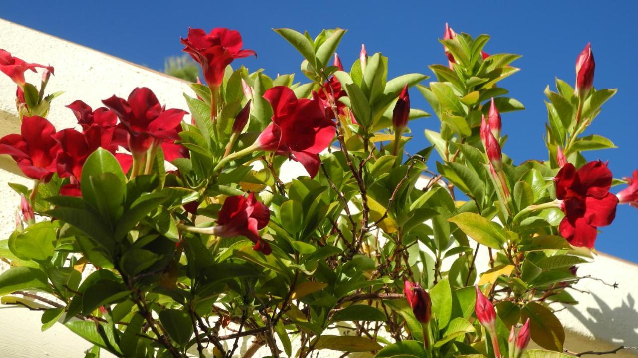 Casa Romero Lliber Εξωτερικό φωτογραφία